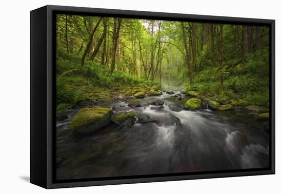 Peaceful river flowing through a forest-Sheila Haddad-Framed Premier Image Canvas