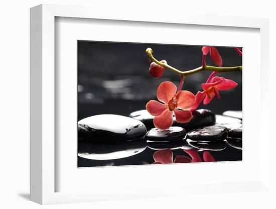 Peaceful Setting-crystalfoto-Framed Premium Photographic Print