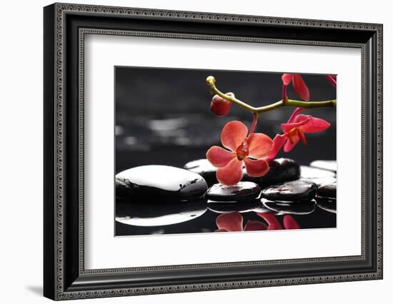 Peaceful Setting-crystalfoto-Framed Premium Photographic Print