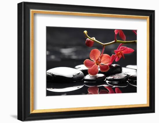 Peaceful Setting-crystalfoto-Framed Premium Photographic Print