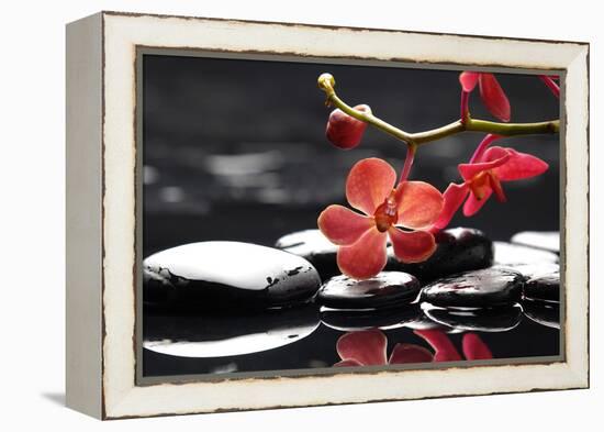 Peaceful Setting-crystalfoto-Framed Premier Image Canvas