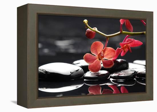 Peaceful Setting-crystalfoto-Framed Premier Image Canvas