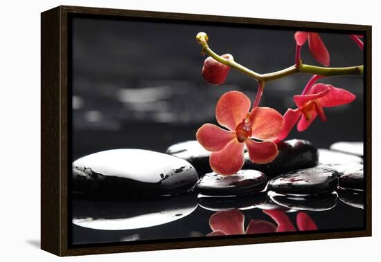 Peaceful Setting-crystalfoto-Framed Premier Image Canvas