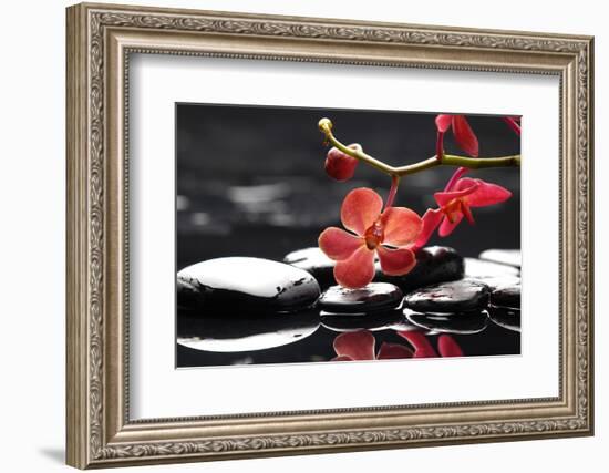 Peaceful Setting-crystalfoto-Framed Photographic Print