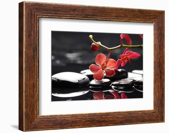 Peaceful Setting-crystalfoto-Framed Photographic Print