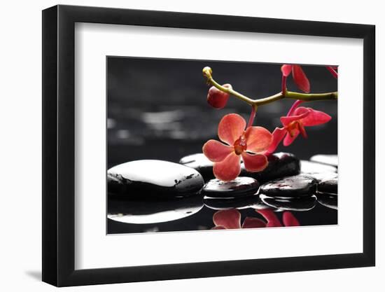 Peaceful Setting-crystalfoto-Framed Photographic Print