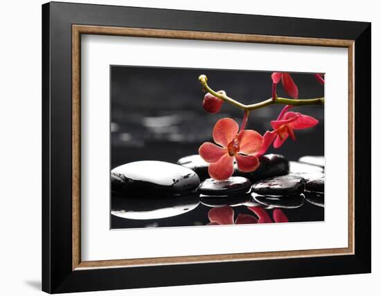 Peaceful Setting-crystalfoto-Framed Photographic Print