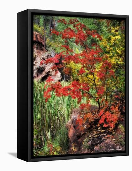 Peaceful Woods I-David Drost-Framed Premier Image Canvas