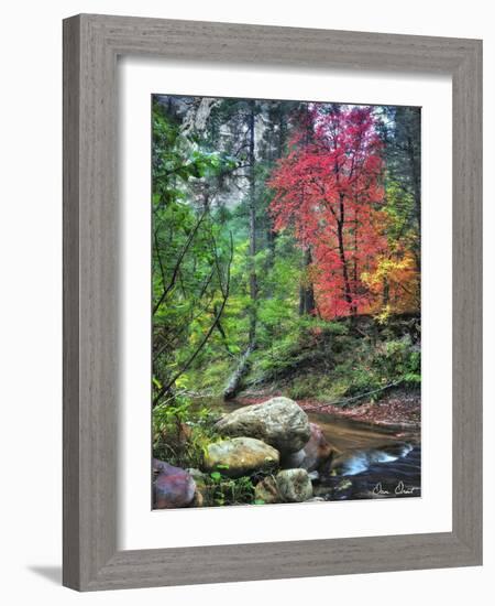 Peaceful Woods II-David Drost-Framed Photographic Print