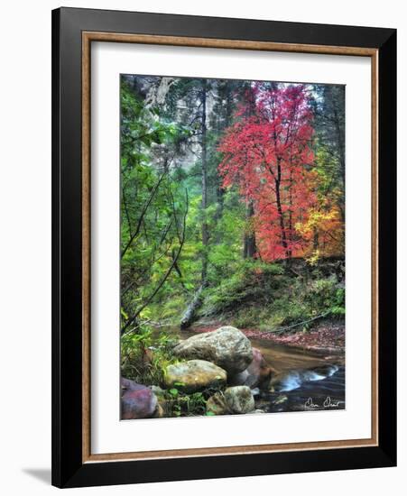 Peaceful Woods II-David Drost-Framed Photographic Print