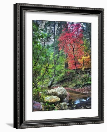 Peaceful Woods II-David Drost-Framed Photographic Print