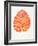 Peach Alocasia-Cat Coquillette-Framed Giclee Print