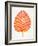 Peach Alocasia-Cat Coquillette-Framed Giclee Print