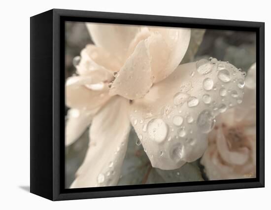 Peach and Droplets-null-Framed Premier Image Canvas