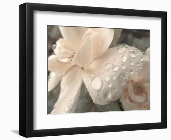 Peach and Droplets-null-Framed Photographic Print