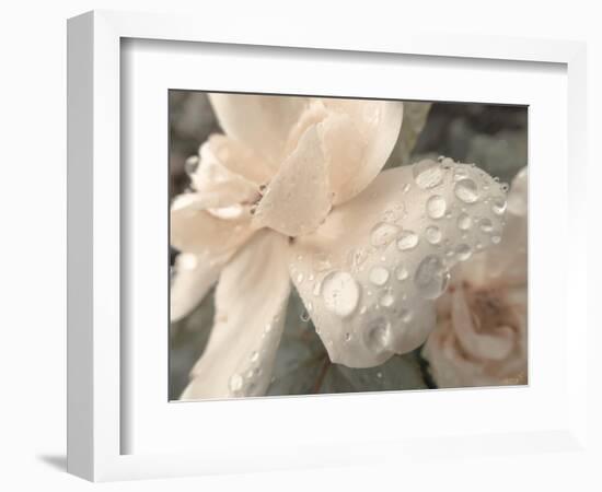 Peach and Droplets-null-Framed Photographic Print