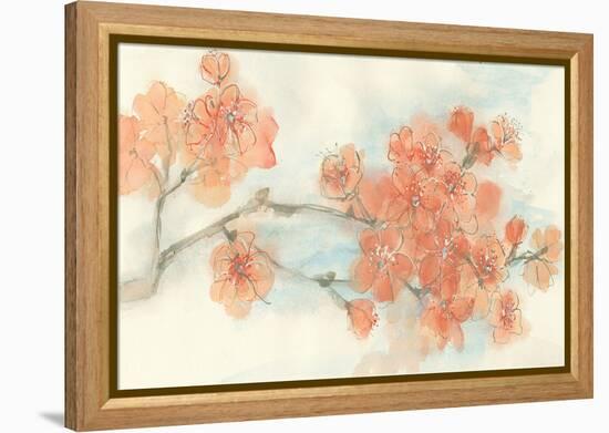 Peach Blossom I-Chris Paschke-Framed Stretched Canvas