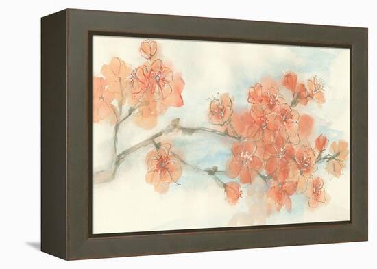 Peach Blossom I-Chris Paschke-Framed Stretched Canvas