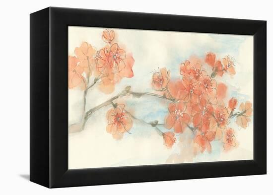Peach Blossom I-Chris Paschke-Framed Stretched Canvas