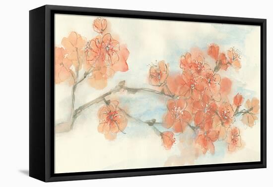 Peach Blossom I-Chris Paschke-Framed Stretched Canvas