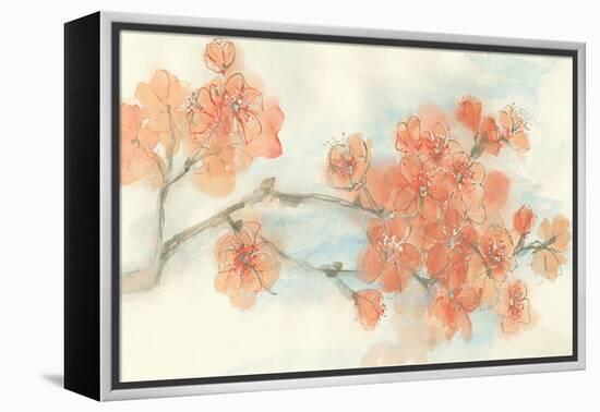 Peach Blossom I-Chris Paschke-Framed Stretched Canvas