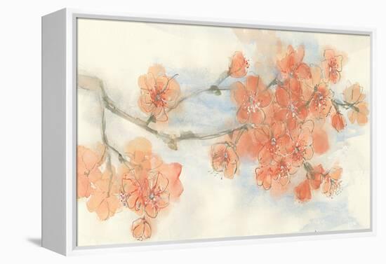 Peach Blossom I-Chris Paschke-Framed Stretched Canvas