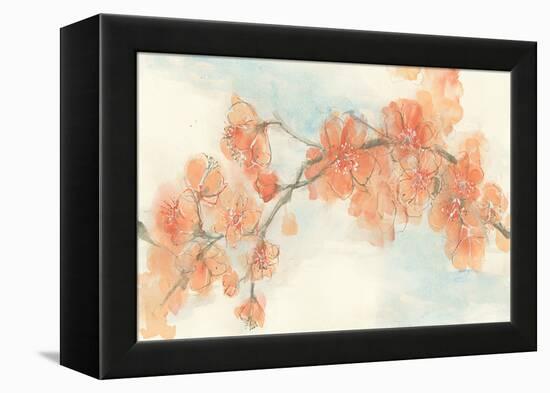 Peach Blossom II-Chris Paschke-Framed Stretched Canvas