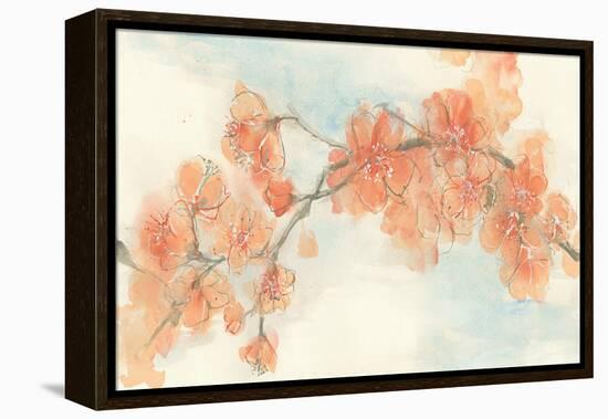 Peach Blossom II-Chris Paschke-Framed Stretched Canvas