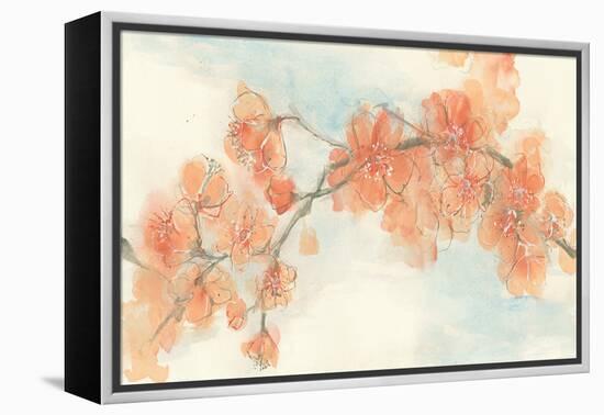 Peach Blossom II-Chris Paschke-Framed Stretched Canvas