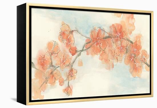 Peach Blossom II-Chris Paschke-Framed Stretched Canvas