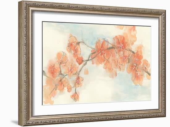 Peach Blossom II-Chris Paschke-Framed Art Print