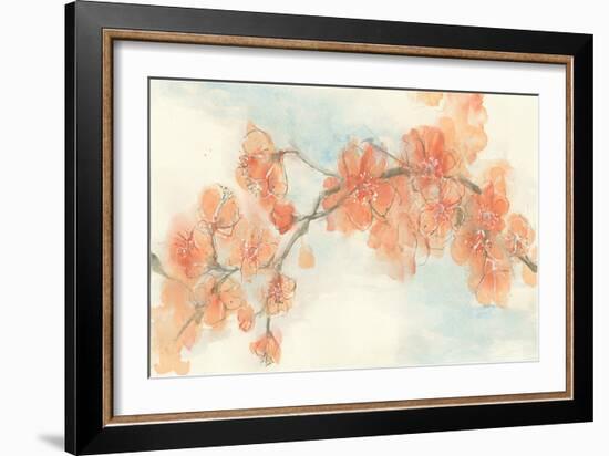 Peach Blossom II-Chris Paschke-Framed Art Print