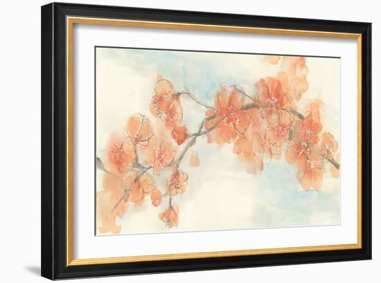 Peach Blossom II-Chris Paschke-Framed Art Print