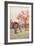 Peach Blossom-Ella Du Cane-Framed Giclee Print