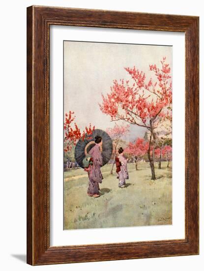 Peach Blossom-Ella Du Cane-Framed Giclee Print