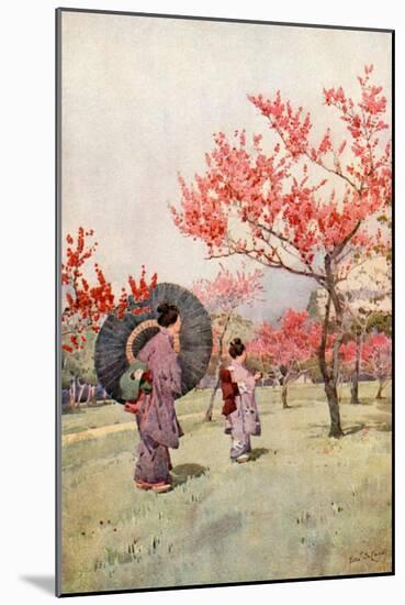 Peach Blossom-Ella Du Cane-Mounted Giclee Print