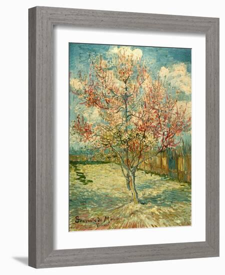 Peach Blossoming (Souvenir De Mauve)-null-Framed Giclee Print