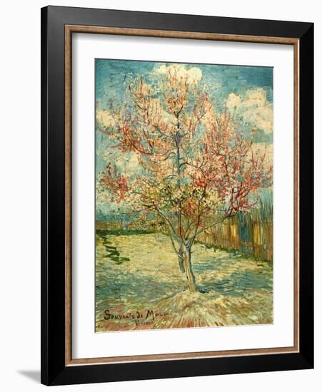 Peach Blossoming (Souvenir De Mauve)-null-Framed Giclee Print