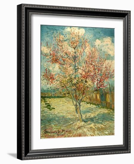 Peach Blossoming (Souvenir De Mauve)-null-Framed Giclee Print