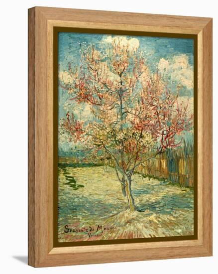 Peach Blossoming (Souvenir De Mauve)-null-Framed Premier Image Canvas