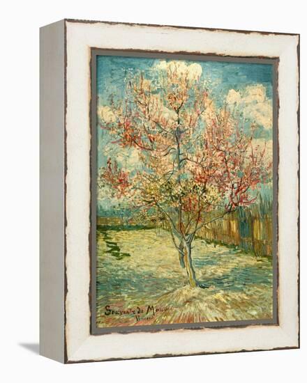 Peach Blossoming (Souvenir De Mauve)-null-Framed Premier Image Canvas