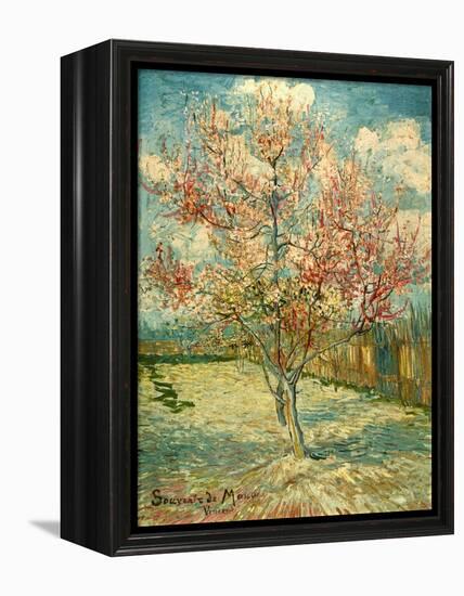 Peach Blossoming (Souvenir De Mauve)-null-Framed Premier Image Canvas