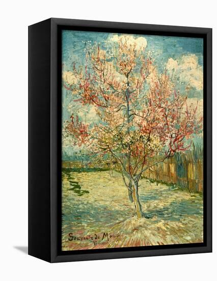 Peach Blossoming (Souvenir De Mauve)-null-Framed Premier Image Canvas