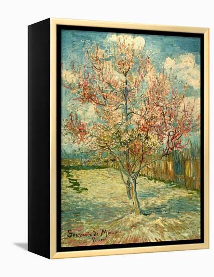 Peach Blossoming (Souvenir De Mauve)-null-Framed Premier Image Canvas