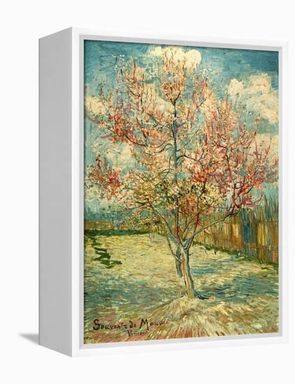 Peach Blossoming (Souvenir De Mauve)-null-Framed Premier Image Canvas