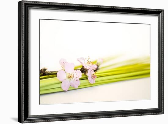 Peach Blossoms and Blades of Grass-Andrea Haase-Framed Photographic Print