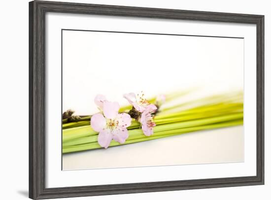 Peach Blossoms and Blades of Grass-Andrea Haase-Framed Photographic Print