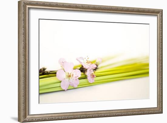 Peach Blossoms and Blades of Grass-Andrea Haase-Framed Photographic Print