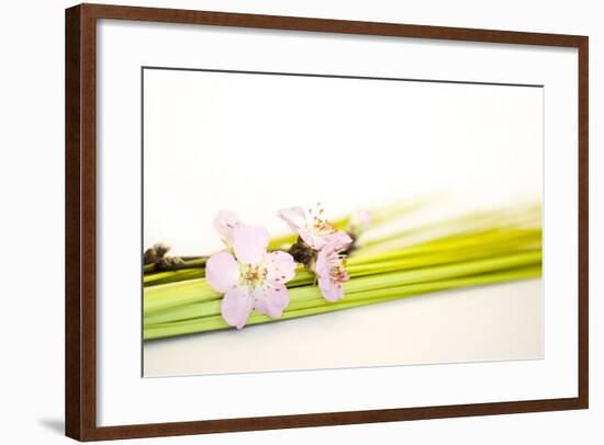 Peach Blossoms and Blades of Grass-Andrea Haase-Framed Photographic Print