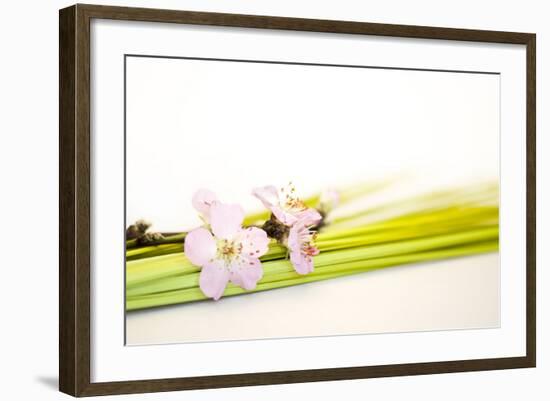 Peach Blossoms and Blades of Grass-Andrea Haase-Framed Photographic Print